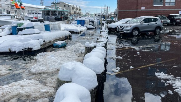 Rising sea levels are causing 'sunny day flooding' along Maine's coast