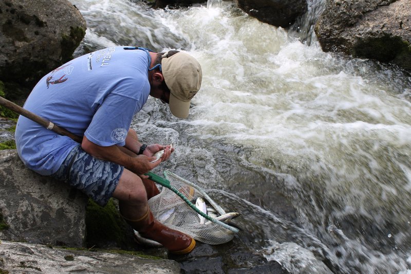 A man sits by a river looking at fish he caught in a net.