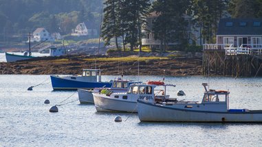 Lobster boats anchored in a harbor with residential buildings in the background