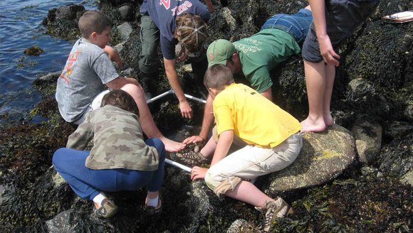 Teachers, Students Engaging in Citizen Science