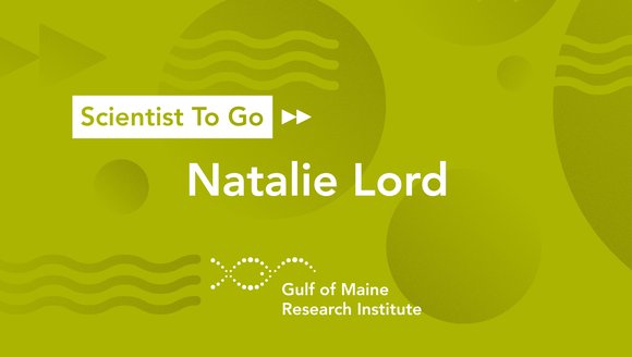 scientist-to-go-Natalie-Lord