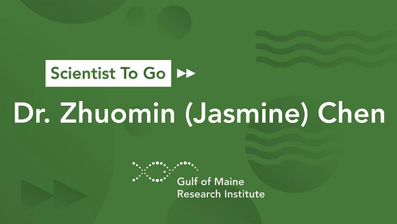Scientist To Go with Dr. Zhuomin (Jasmine) Chen