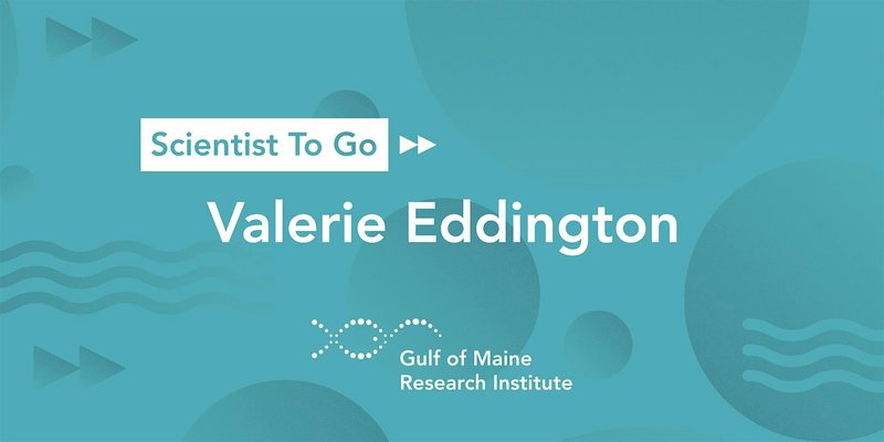 Scientist To Go with Valerie Eddington
