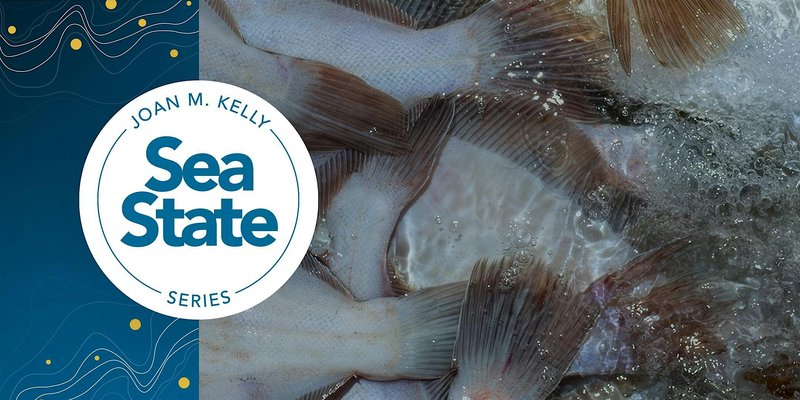 Sea State: Adapting Fisheries & Seafood