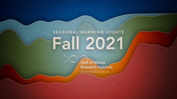 A graphic that resembles a stream plot has blue colors on the top, green in the middle, and reddish colors on the bottom.