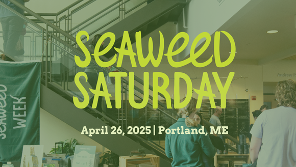 Seaweed Saturday Panels