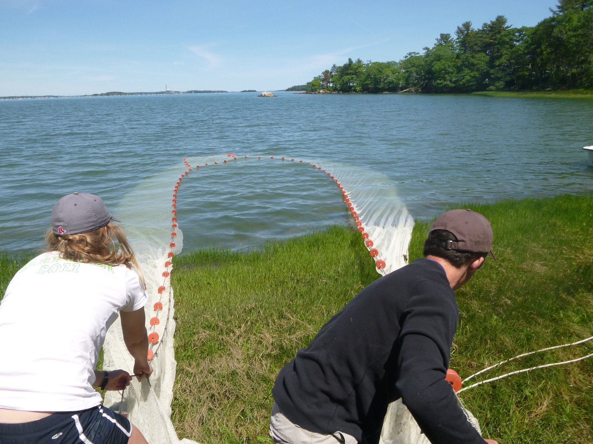 Two people pull in a seine net from a beach.