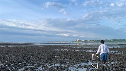 Show Us Your Mussels! Intro to Mussel Bed Mapping Community Science