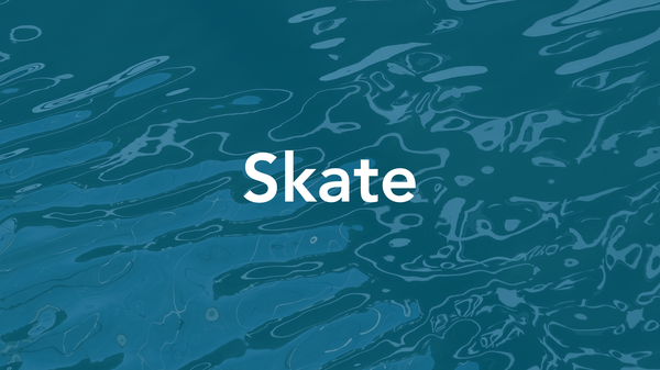 skate-quality-thumbnail