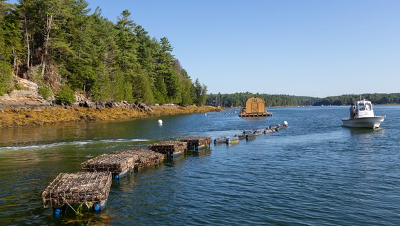 Aquaculture Analysis Shows Opportunity for Maine