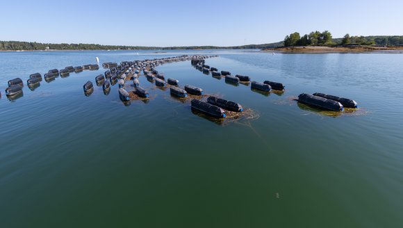 Climate-Driven Risks for Aquaculture Farms