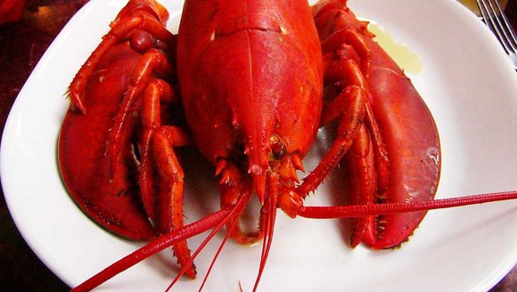 'Split the Seafood Bill Week' begins in Maine