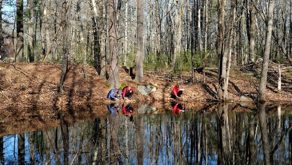 Vernal Pool Spring Blitz
