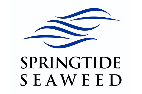 springtide seaweed logo
