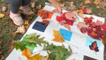 Students Across New England Contribute to Climate Science Through NASA’s GLOBE Green Down - NASA Science