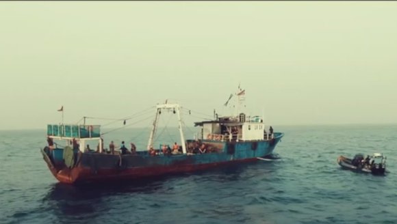 Talk Nerdy To ME: Problems with Seaspiracy