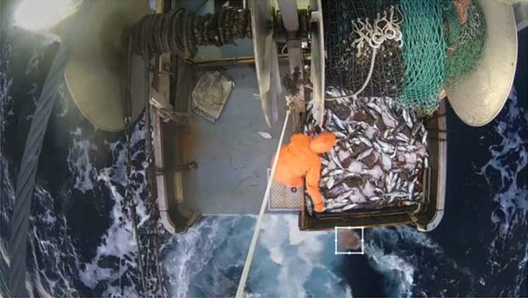 Tech firm born in Maine uses AI to monitor commercial fishing