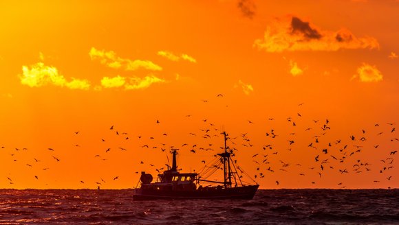 The ocean is shattering heat records. Here's what that means for fisheries.