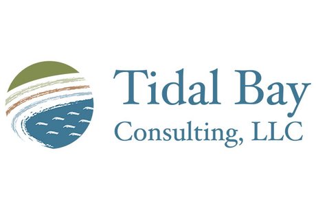 A logo for tidal bay consulting.