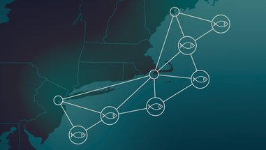 a graphic depicts dots with fish icons connected by lines over a map of the northeast US