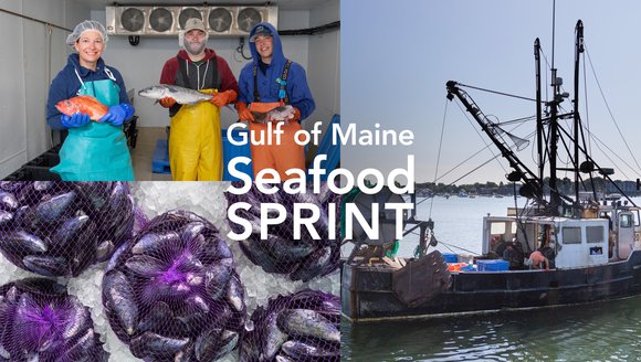 Seafood Sprint Launches