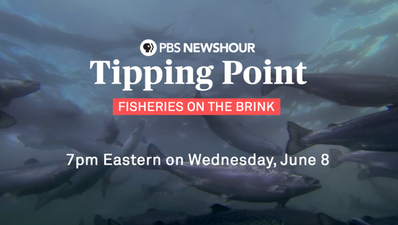 Tipping Point: Fisheries on the Brink - A PBS NewsHour Special