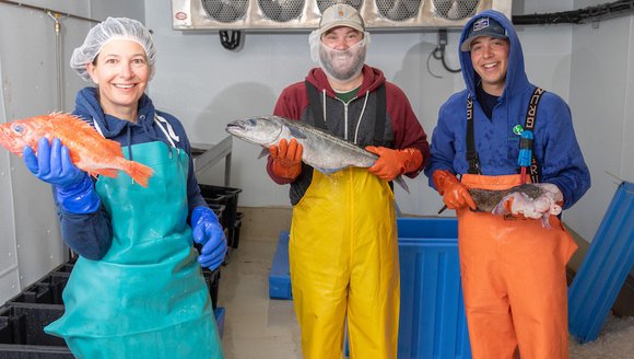 True Fin raises $1M in its first investment round