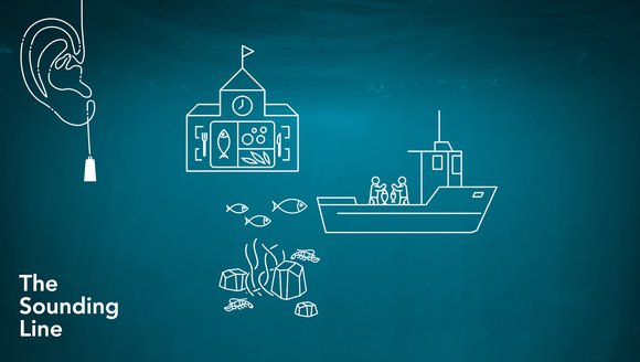 Local Seafood and the Supply Chain