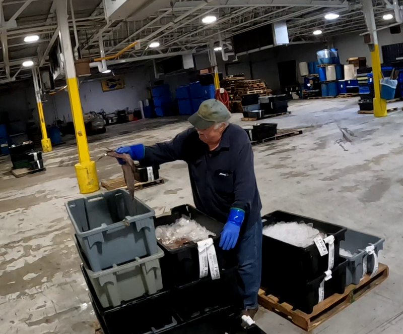 fish quality project page 5