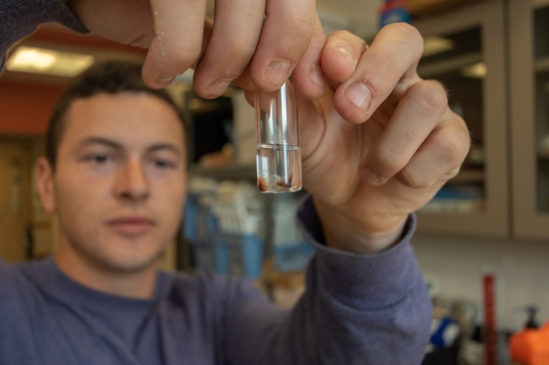 A man looks at a small white bone in a tube.