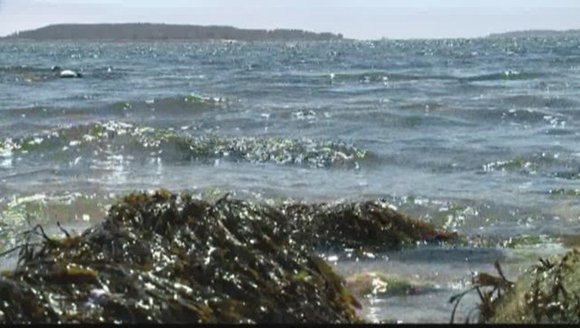 What rising sea levels mean for The Gulf of Maine
