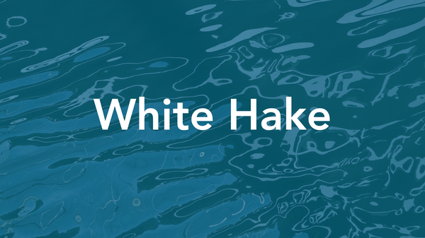 white-hake--quality-thumbnail