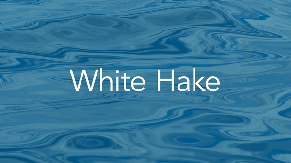 white-hake--quality-thumbnail