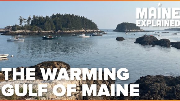Why is the Gulf of Maine warming so fast?