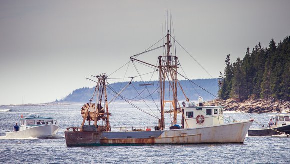 With Maine partnership, hospitality giant Aramark will buy more New England seafood